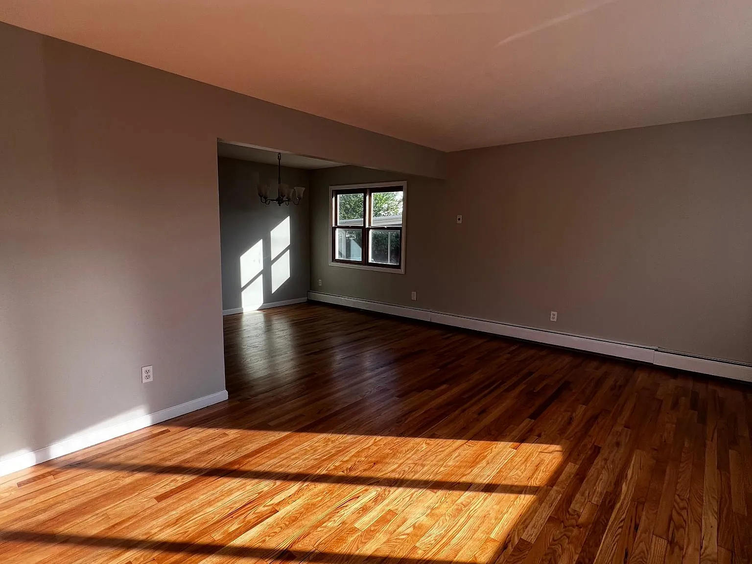 52 Frederick St — Photo 3