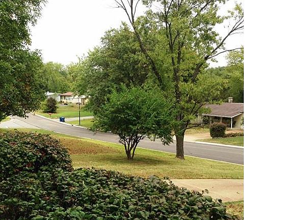 5th image of 255 E Skyline Dr