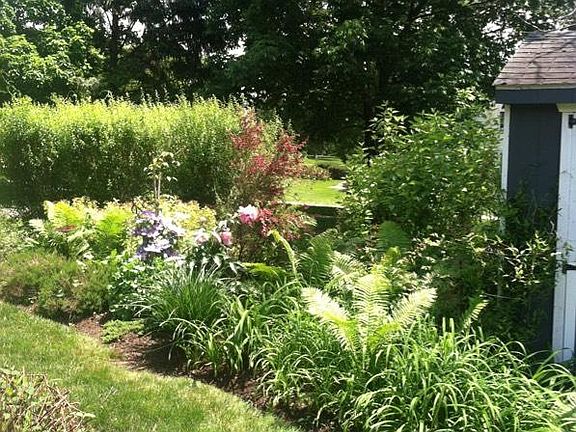 Shed Garden