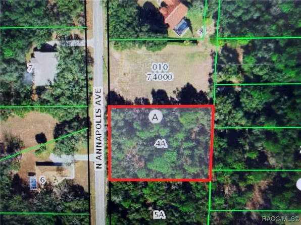 3617 N Annapolis Ave, Hernando, FL 34442