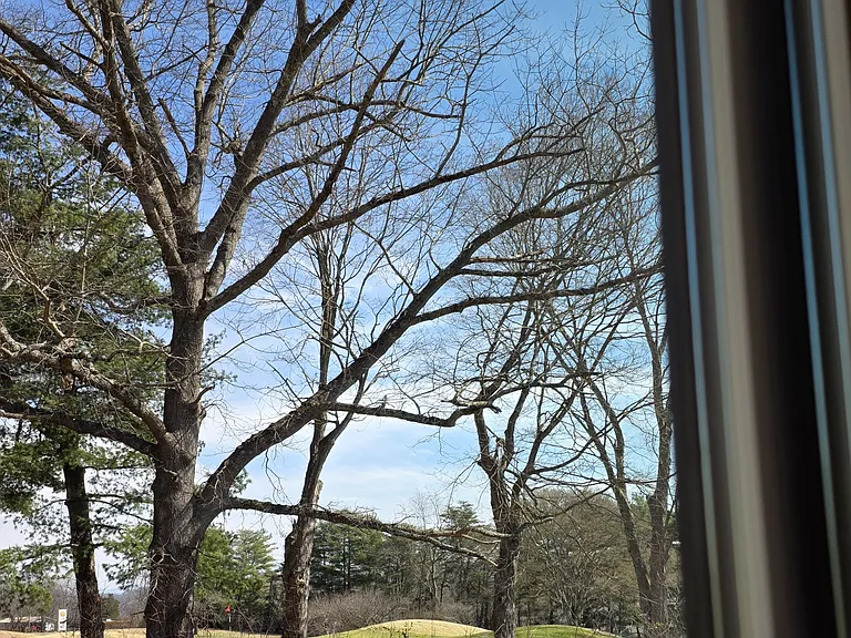 802 Country Club Ct — Photo 26