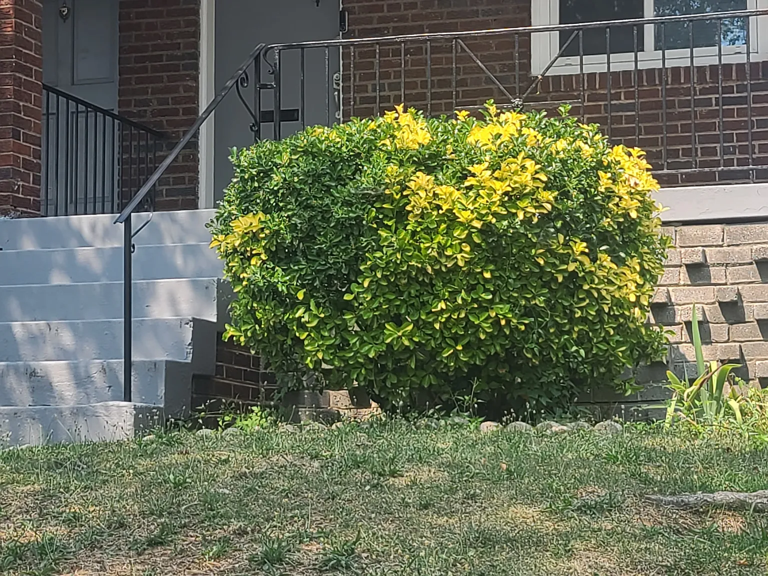 3 bed, 1.5 bath, 1024 sqft, $3,400 — Photo 1