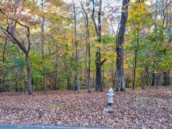 422 Zeblin Rd #422, Ellijay, GA 30540