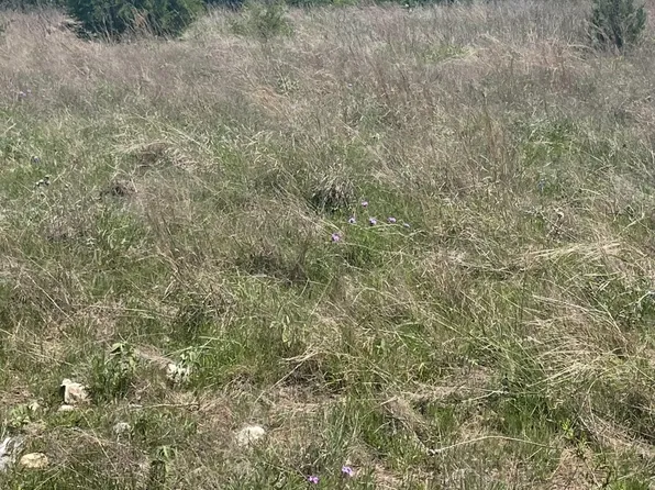 325 Fm 1566 W, Wolfe City, TX 75496