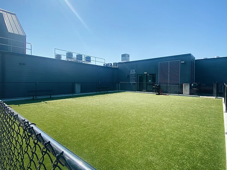Expansive Dog Park