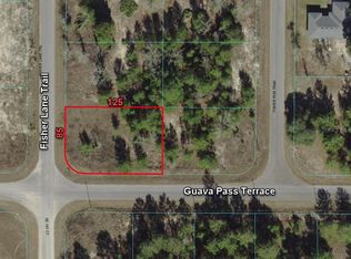0 Fisher Lane Trl LOT 1, Ocklawaha, FL 32179