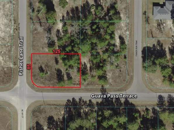 0 FISHER LANE TRAIL LOT 1, OCKLAWAHA, FL 32179