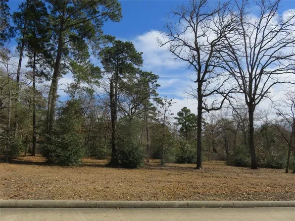 317 Pine Brook Drive, Montgomery, TX 77356