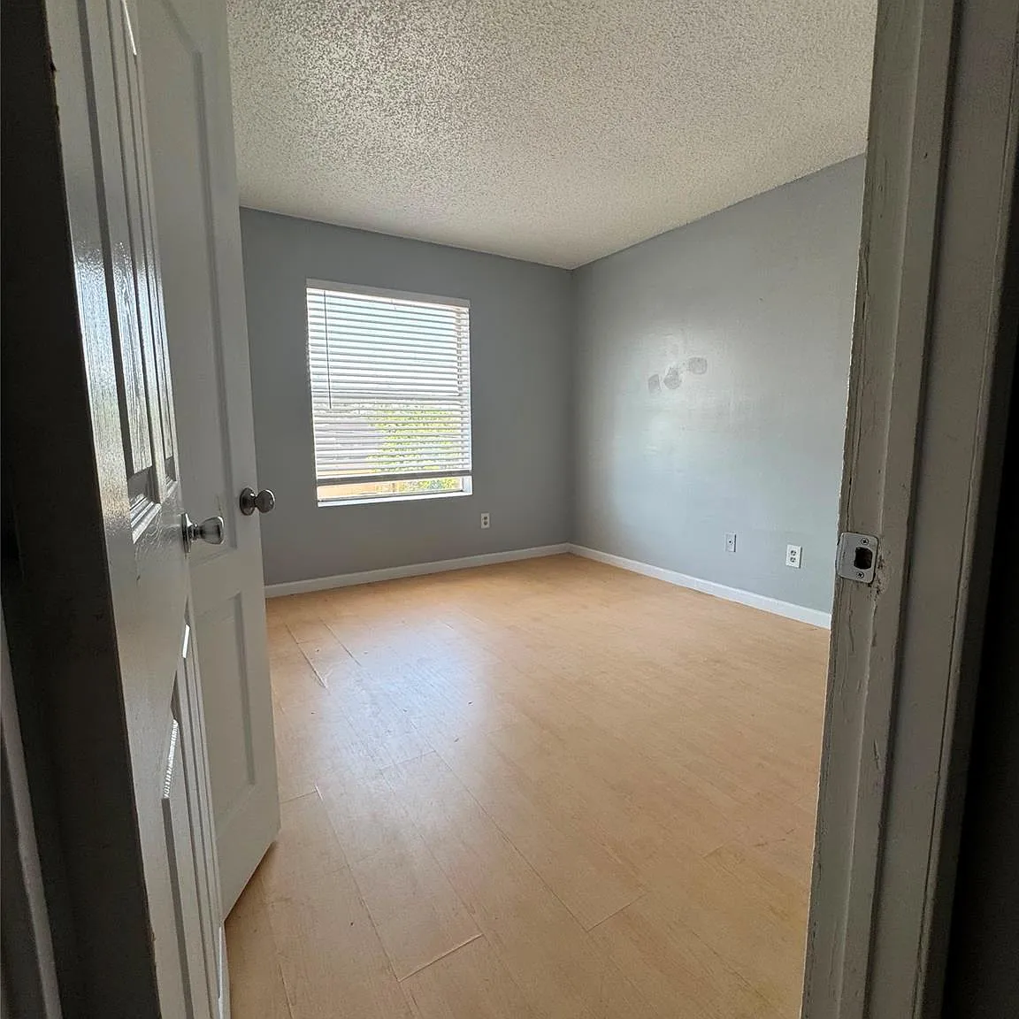 2 bed, 1.5 bath, $1,350 — Photo 3