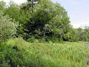 5th image of 6994W Smith Lake Dr