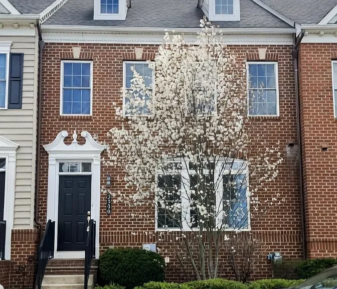 3990 Cephas Child Rd — Photo 1
