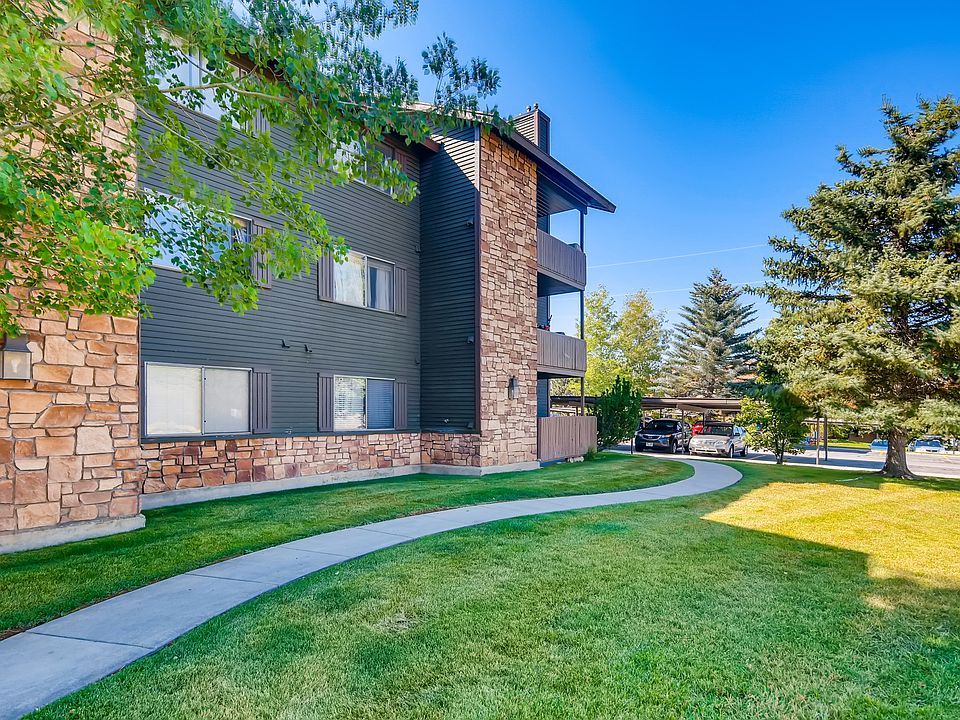 27 Back Yard_08272024