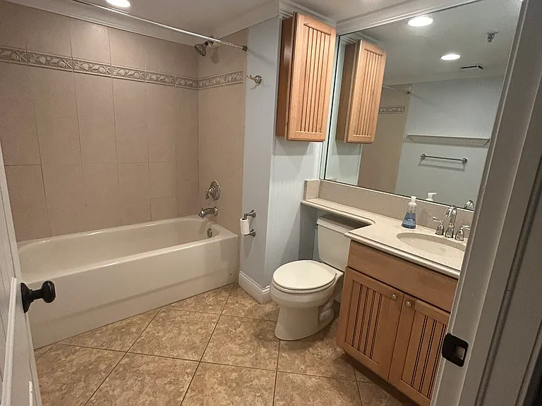 Guest Bathroom with Tub and Shower Combo