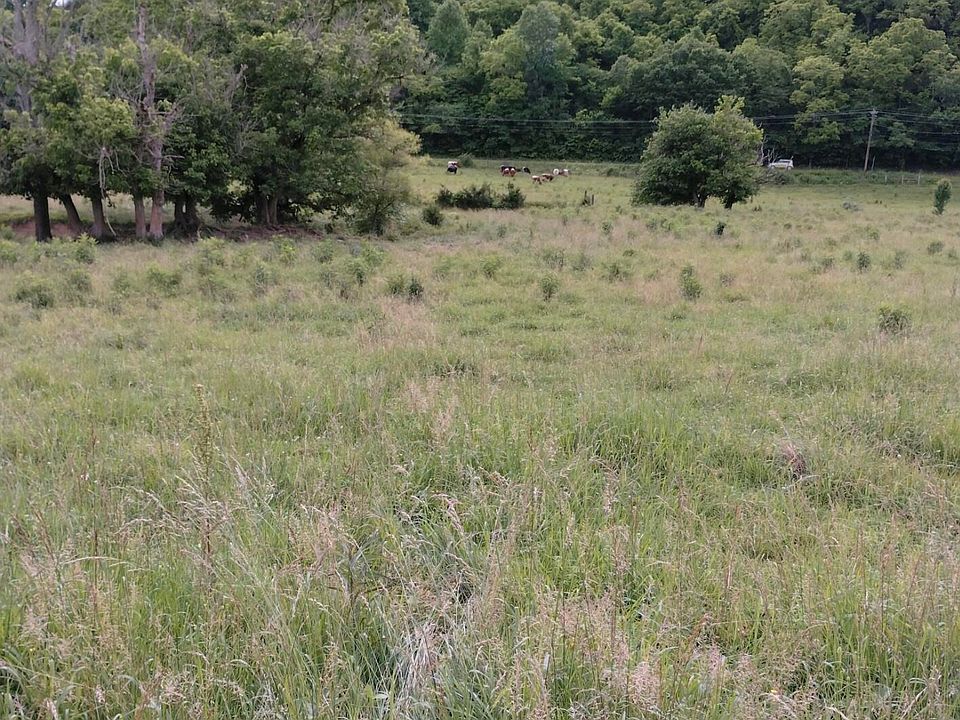 2nd image of 3 Lonesome Pine Trl