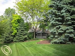 Rear Yard