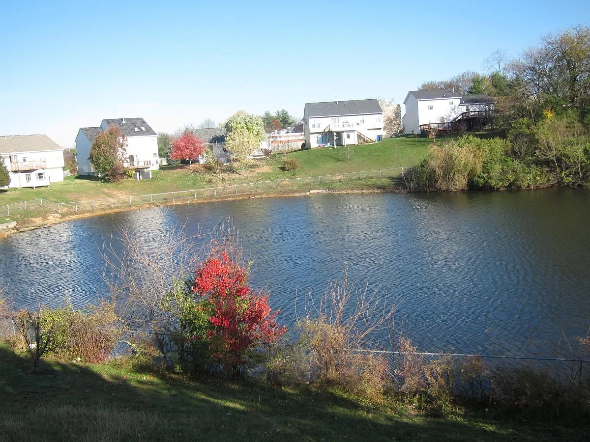 4 bed, 2264 sqft, $3,950 — Photo 2
