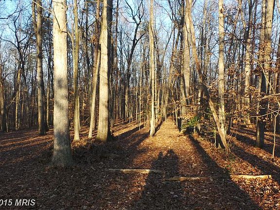 4th image of 11511 Forest Walk Dr
