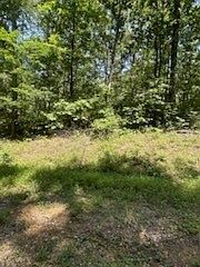 4th image of 0 Pond Dr