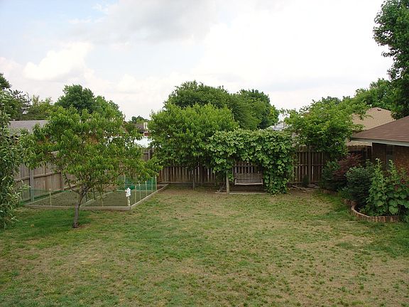 Fruitful backyard