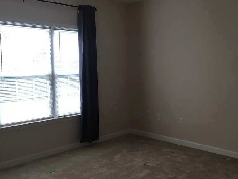 113 Ashley Park Dr #A — Photo 11