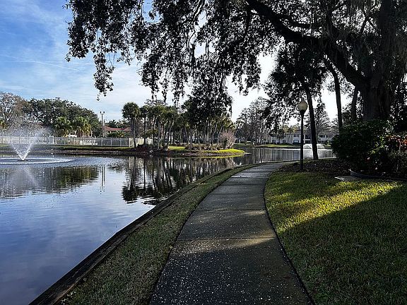 3rd image of 10359 Carrollwood Ln