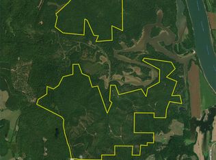 0 Bunches Chapel Rd LOT WP001, Parsons, TN 38363