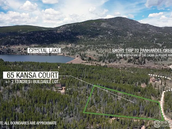 65 Kansa Ct, Red Feather Lakes, CO 80545