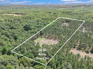 10.02 W Scout Rd, Mears, MI 49436