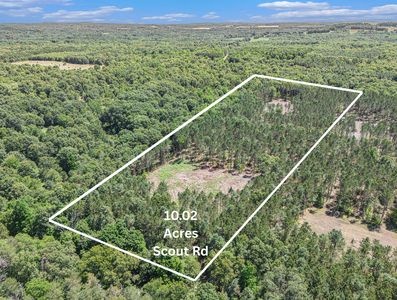 10.02 W Scout Rd, Mears, MI, 49436