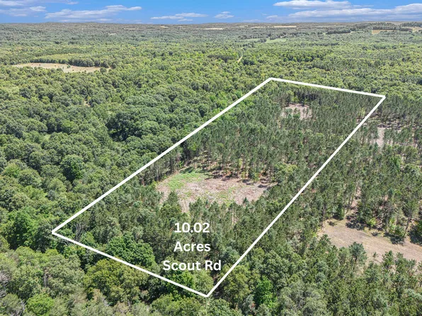 10.02 W Scout Rd, Mears, MI 49436
