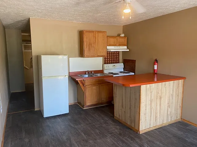 Romie Hill / Shannon — Photo 2