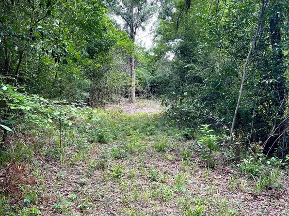 County Road 1147 N, Tyler, TX 75704