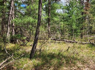 8950 S Chatman St, Idlewild, MI 49642