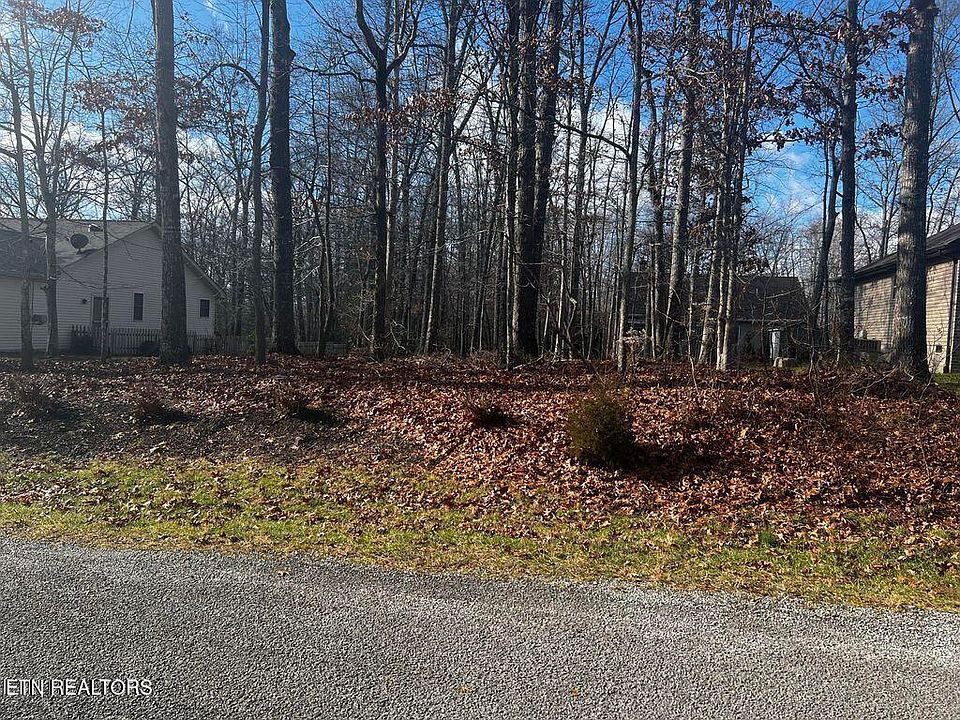 2nd image of 115 Essex Ln