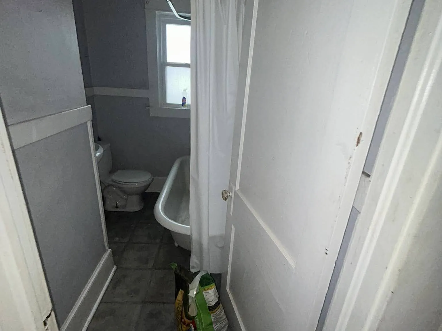 1 bed, 702 sqft, $600 — Photo 4