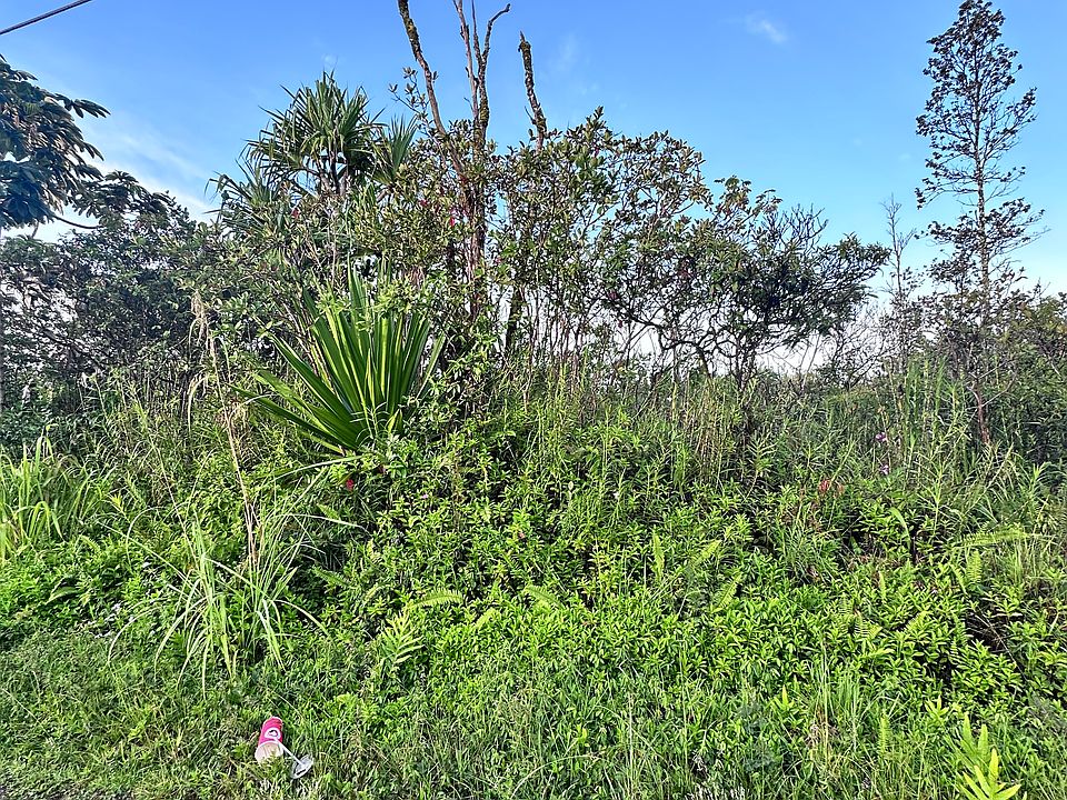 1st image of 19th Ave Lot 164