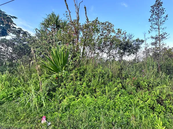 19th Ave Lot 164, Keaau, HI 96749