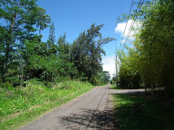 4th image of 14th Ave Lot 1103