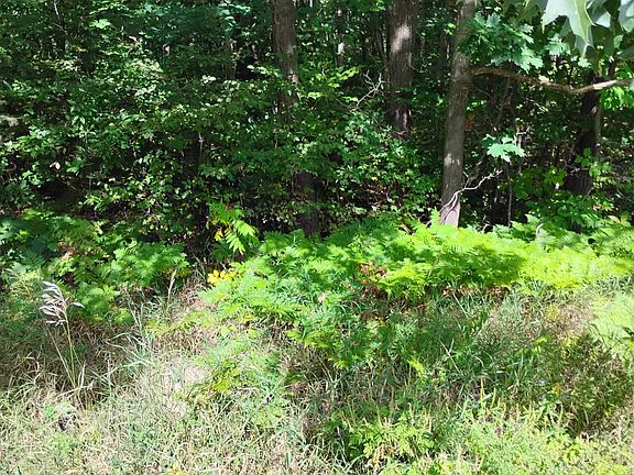 4th image of 55 Knapp Rd