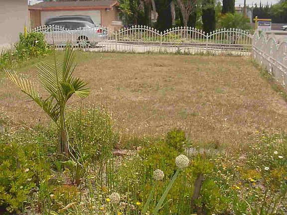Front Garden - bare now