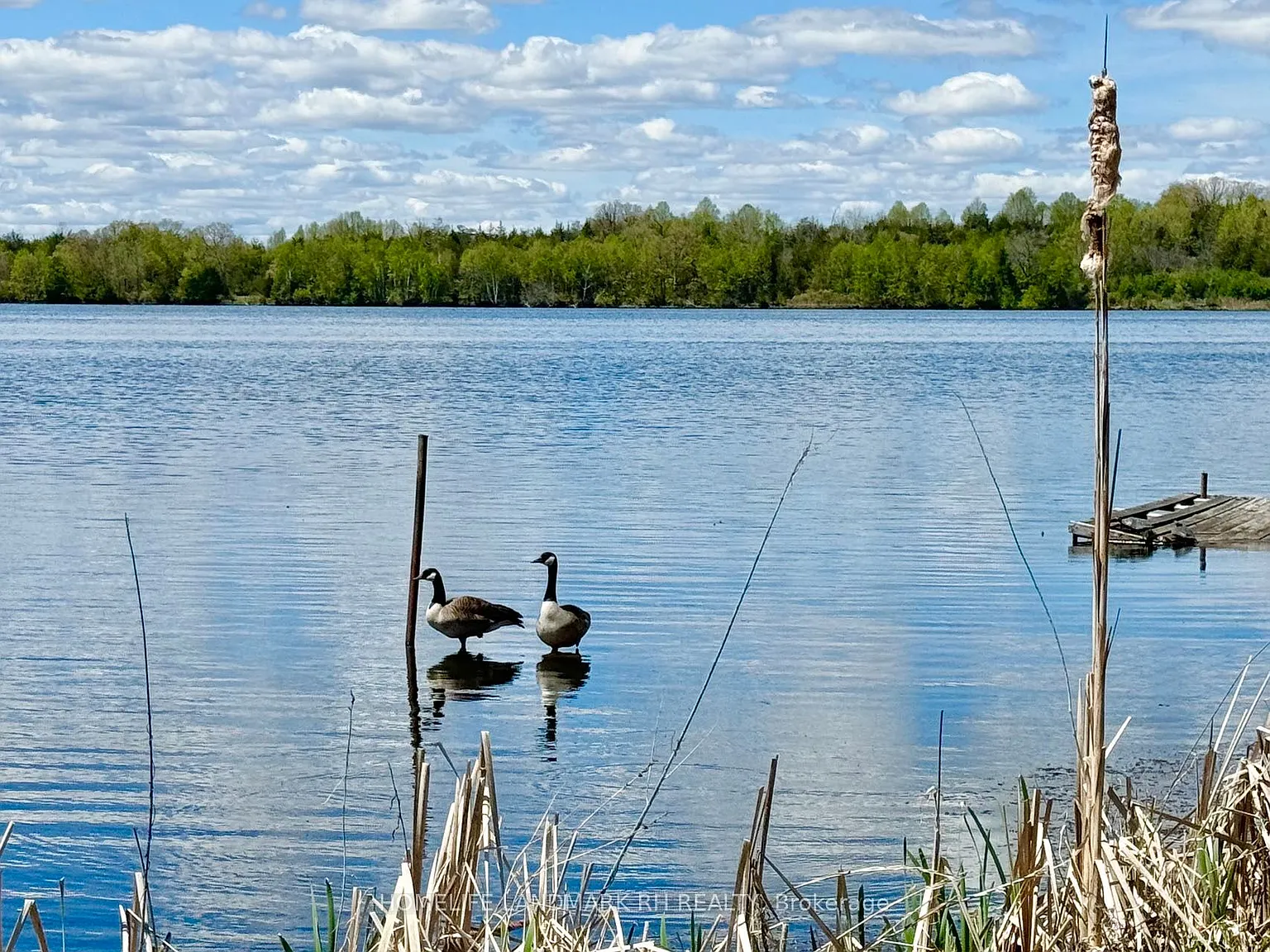 2 bed, $1,600 — Photo 4