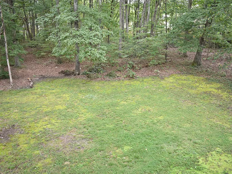 5405 Lee White Ln — Photo 42