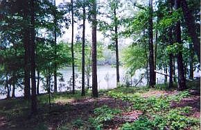 1st image of 0 Dogwood Drive