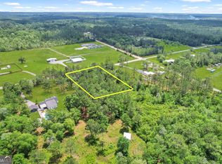 0 Yellow Bluff Rd, Blackshear, GA 31516