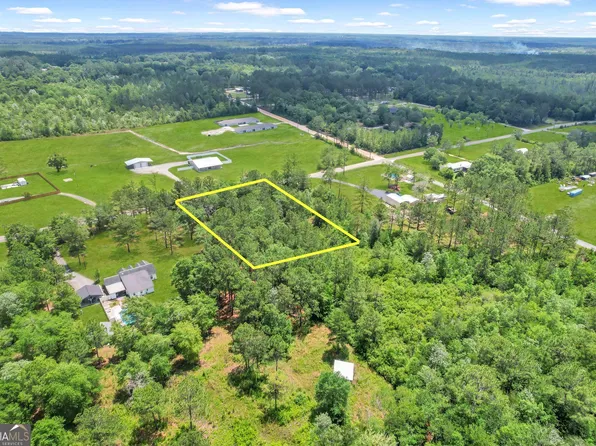 0 Yellow Bluff Rd, Blackshear, GA 31516