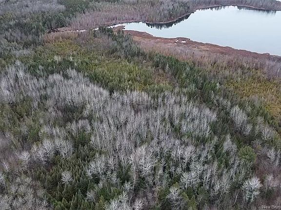 4th image of N/a Tobin Rd