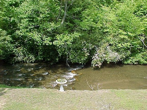 Front Yard Creek View