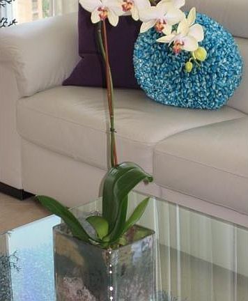 3rd image of 16689 Collins Ave #2907