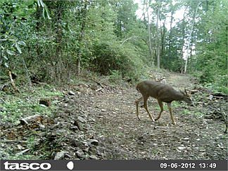 3rd image of 11882 Sandyville Ave SE