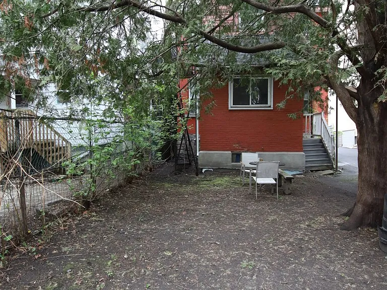 554 McLeod St #1 — Photo 15